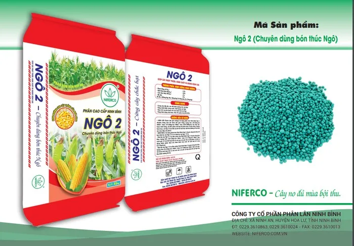Phần bón lót NPK 10.12.5